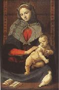 Piero di Cosimo The Virgin and Child with a Dove (mk05) Spain oil painting artist